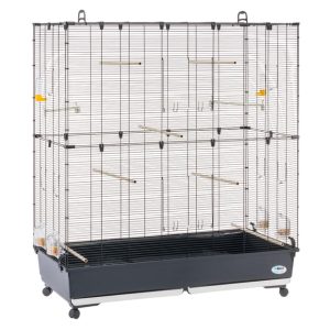 Large cage for canaries