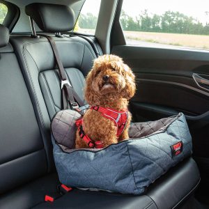 Ultimate Dog Safety Seat and Tether