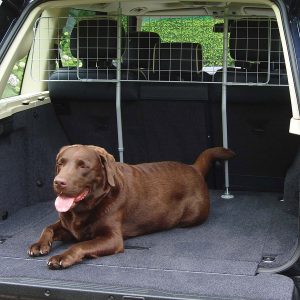 Rosewood Dog Car Guard