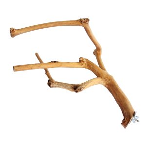 Wood MultiBranch Bird Perch Small