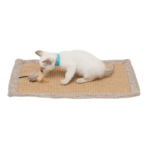 Cat Scratch Mat