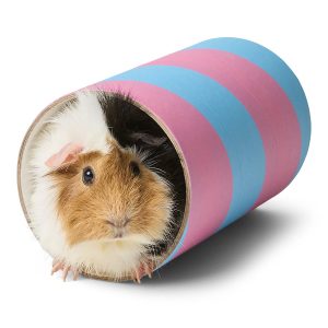 Small Animal Chew Tube Large