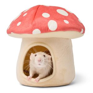 Toadstool Small Animal Hideaway