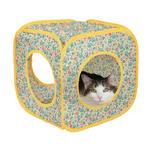 Print Cat Tunnel Cube